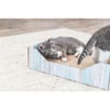 Kratzbett aus Karton mit Katzenminze