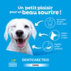 Clément Thékan Denticare Trio Tiras de mastigar para cão