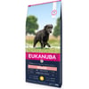 Eukanuba Caring Senior Large Breed para cães senikores de grande tamanho