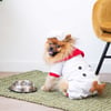 Verkleidung für Hunde Koch Zolia
