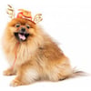 Costume per cane cappello natalizio renna Santa Claus Zolia