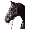 Cabezada reflectante para caballos black / silver
