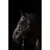 Cabezada reflectante para caballos black / silver