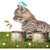 CROCORICO Getreidefrei Nassfütter für Kätzchen 100% French