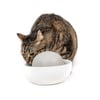 Zolia Rise Falls - 700 ml - Fuente de cerámica para gatos y perros pequeños