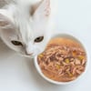 QUALITY SENS HFG - Soupes naturelles 70g pour chat - 3 recettes au choix