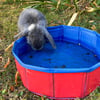Mini piscina para pequeños animales Zolia Moorea