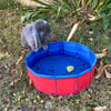 Mini piscine pour petits animaux Zolia Moorea 