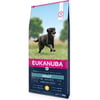  Eukanuba Active Adult Large Breed para cão de grande porte