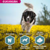 Eukanuba Adult Large Breed agneau et riz pour chien de grande race