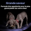 Diete veterinarie Pro Plan Fortiflora, probiotico per la flora intestinale in bocconcini per cani
