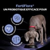 Pro Plan Veterinary Diets Fortiflora Canine Probiotic en comprimidos para perros
