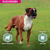 Eukanuba Daily Care Sensitive Joints pour chien adulte sensible