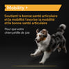 Purina Pro Plan Mobility+ Ergänzungsfutterpulver für Hunde
