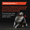 Purina Pro Plan Multivitamins+ aliment complémentaire en comprimés pour chien