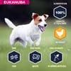 Eukanuba Breed Specific Jack Russell Terrier