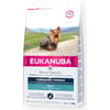 Eukanuba Breed Specific Yorkshire Terrier Pienso para perros adultos