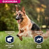 Eukanuba Breed Specific Berger Allemand 