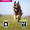 Eukanuba Breed Specific Berger Allemand 