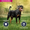 Eukanuba Breed Specific Rottweilers