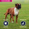 Eukanuba Breed Specific Boxer