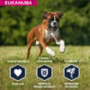 Eukanuba Breed Specific Boxer