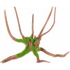 Raíz de araña Spider Wood Kipouss - 2 tamaños disponibles
