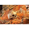 Dekoration Affenschädel Primate Skull Exo-Terra