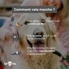 SPOORS Médaille digitalisée pour chien avec QR code - Cœur 