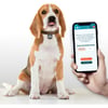 SPOORS Médaille digitalisée pour chien avec QR code - Cœur 