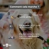 SPOORS Médaille digitalisée pour chien et chat avec QR code - France