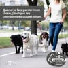 SPOORS Placa con código QR para perros - Pata