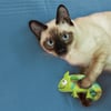 KONG Refillables Chameleon juguete para gatos