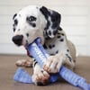 KONG Signature Crunch Rope Single Puppy para cachorros