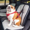 KONG Travel Attache de ceinture de sécurité ultime pour chien