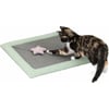 Trixie Junior tapis griffoir pour chat