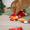 Zolia -Box mit 8 Weihnachtsüberraschungen für Hunde