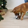 Brinquedo sonoro bolo de Natal para cão Zolia