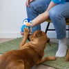 Zolia - Soundspielzeug Pinguin für Hunde