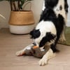 Renntier Plüuschtier für Hunde mit Geraüsch