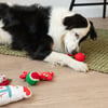 Zolia - Weihnachtsstrumpf für Hunde mit 6 Spielzeuge