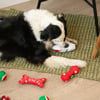 Calza di Natale con 6 giochi per cani - Zolia