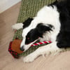 Zolia Weihnachts-Rentier-Soundspielzeug für Hunde aus Seil