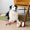 Zolia Weihnachts-Rentier-Soundspielzeug für Hunde aus Seil