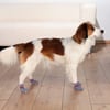 Chaussettes pour chien anti-dérapantes (Par 2)
