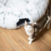 Túnel con cama de felpa para gatos Zolia Incr