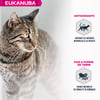 Eukanuba croquettes sans céréales au saumon pour chat senior