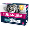 Eukanuba patê sem cereais mono-proteína de frango para gato adulto