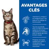 Hill's Science Plan Futterbeutel Gemischte Packung für ausgewachsene Katzen