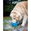 Opvouwbare hondenbak Kurgo Collaps A Bowl 